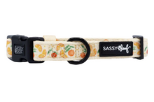 Load image into Gallery viewer, Simply the Zest Collar

