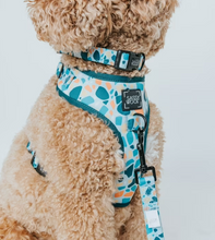 Load image into Gallery viewer, Terrazzo Collar
