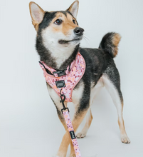 Load image into Gallery viewer, Terrazzo Collar
