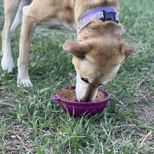 Load image into Gallery viewer, Garden of Eatin&#39; Tipsy eBowl
