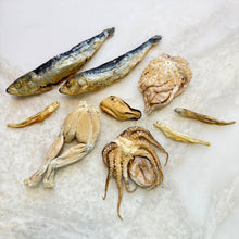 Load image into Gallery viewer, Neptune&#39;s Nibbles - Freeze Dried Seafood Variety Bag
