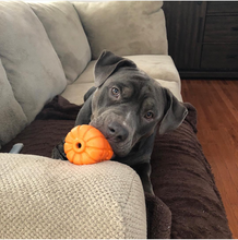 Load image into Gallery viewer, Jack O&#39; Lantern Treat Dispenser
