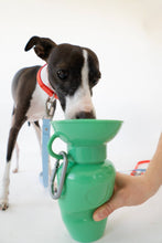 Load image into Gallery viewer, Dog Travel Water Bottles
