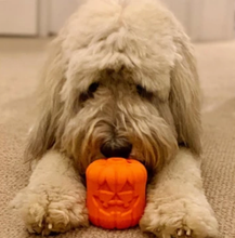 Load image into Gallery viewer, Jack O&#39; Lantern Treat Dispenser
