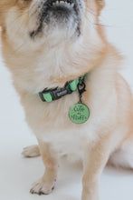 Load image into Gallery viewer, Neon Green Collar
