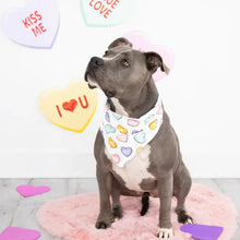 Load image into Gallery viewer, Conversation Hearts Dog Bandana
