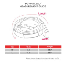 Load image into Gallery viewer, Pink Plaid Leash
