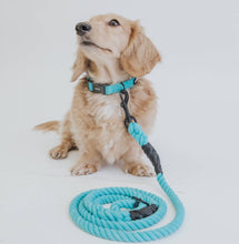 Load image into Gallery viewer, Dog Collar - Neon Blue
