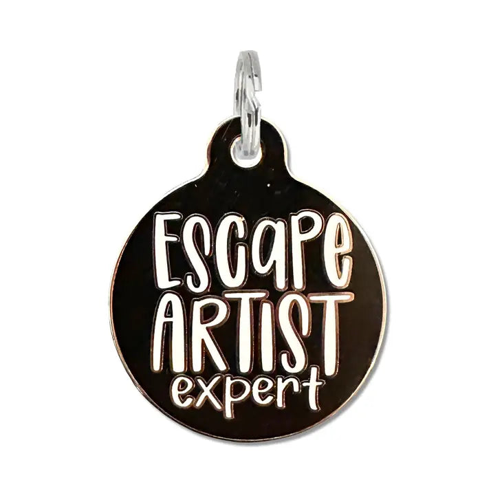 Escape Artist Expert