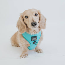 Load image into Gallery viewer, Sassy Woof Harness Neon Blue
