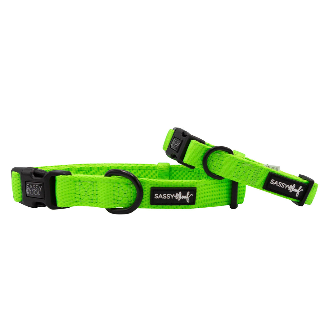 Neon Green Collar