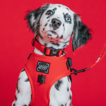 Load image into Gallery viewer, Neon Red Harness
