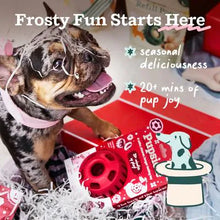 Load image into Gallery viewer, Holiday Jolly Pupsicle
