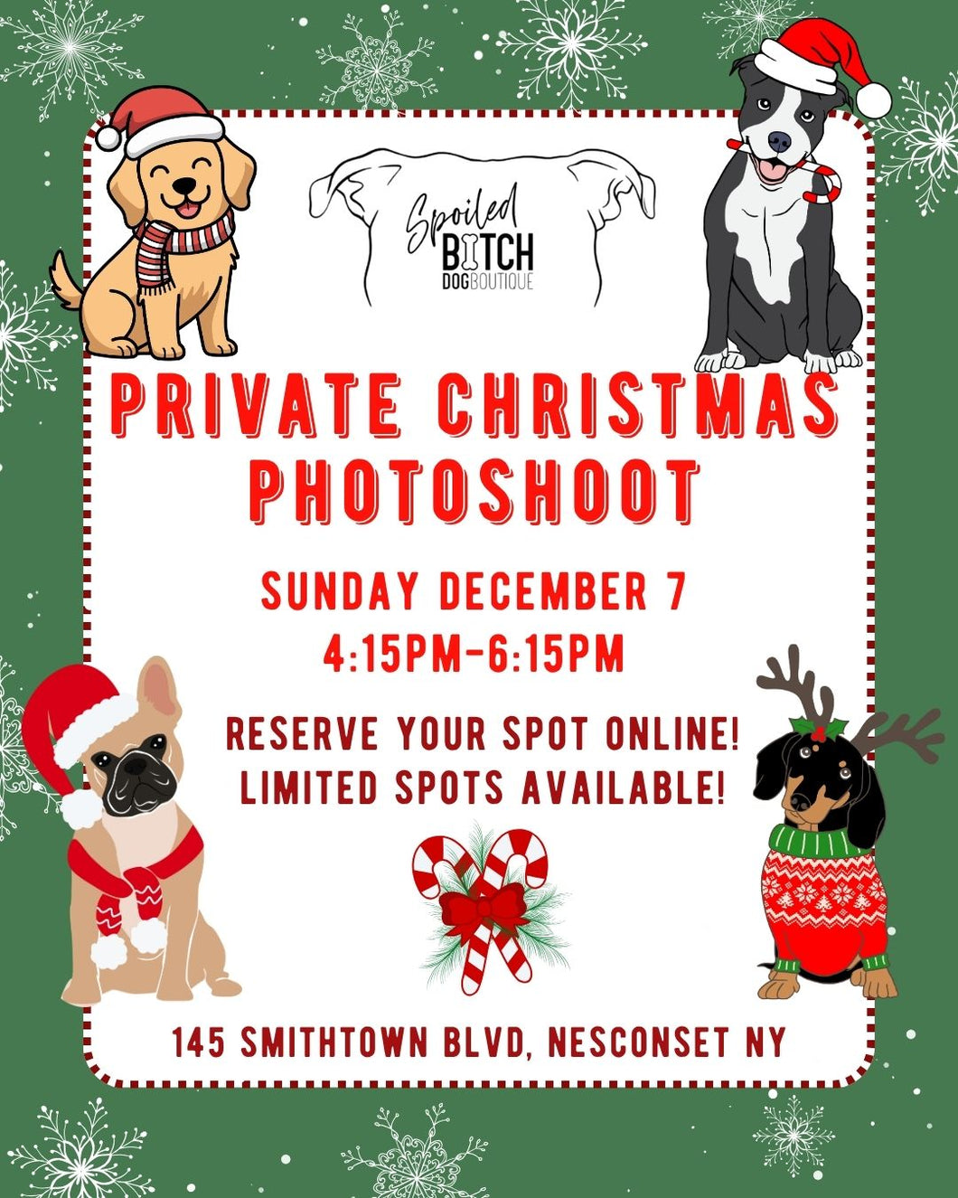 Christmas Private Photoshoot